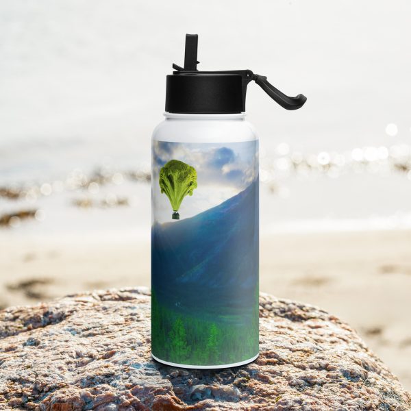 Stainless steel water bottle with a straw lid