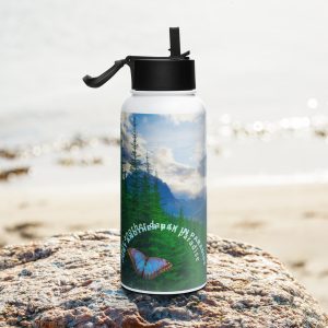 Stainless steel water bottle with a straw lid